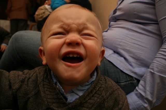 2011 11 27-IMG_2014.JPG